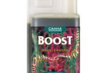 Canna Boost