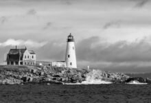 lopulgunzer evaluation guide provided