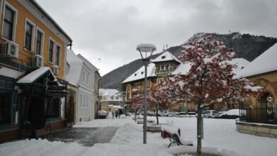 business landscape evaluation analysis