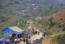 commercial landscape analysis report