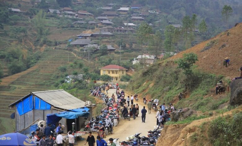 commercial landscape analysis report