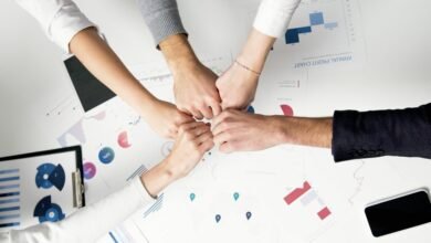 sector dynamics analysis report