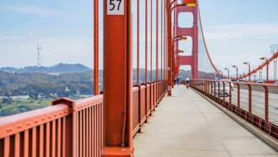 apex path opportunity engine