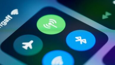 neural pulse apex echo