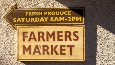 ranking maximizer marketing guide