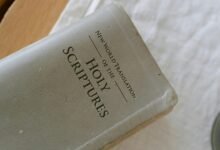 traffic engine 3175504434 growth guide