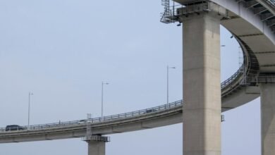 data bridge caller insight systems