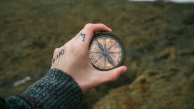 data guided caller search system