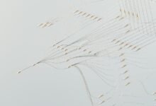 digital flow start contact trace intelligence