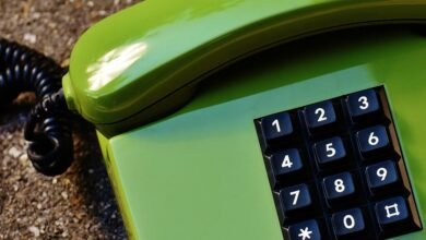 insight stream start phone lookup