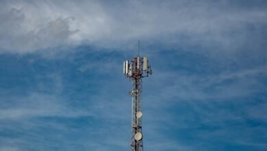 signal network start 602 313 2151 powering caller lookup insights