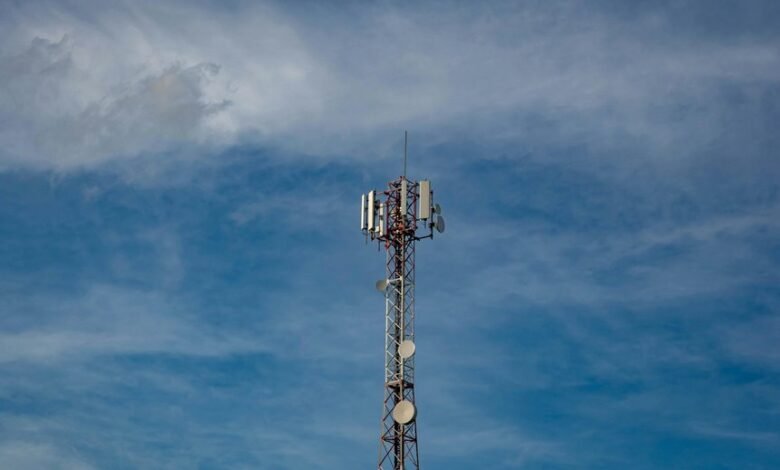 signal network start 602 313 2151 powering caller lookup insights