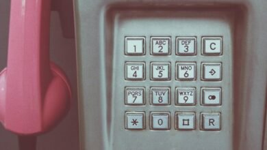 phone numbers provided for user record validation