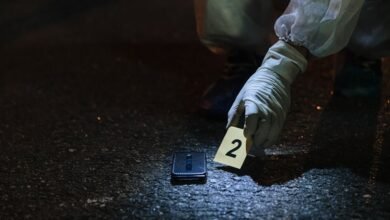 inspect numbers registry evidence
