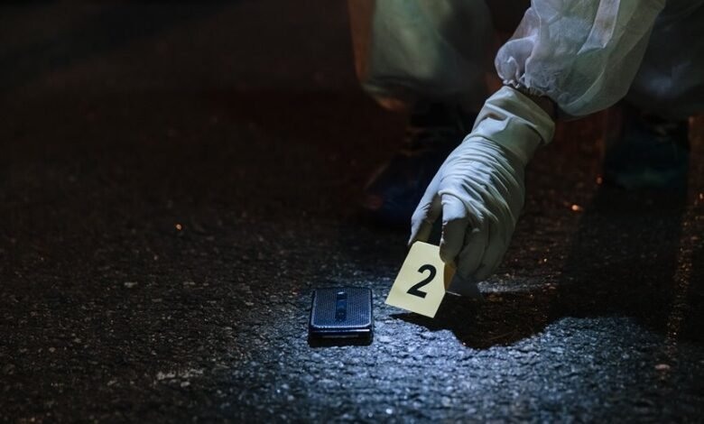 inspect numbers registry evidence