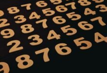 phone numbers for verification provided