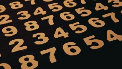 phone numbers for verification provided