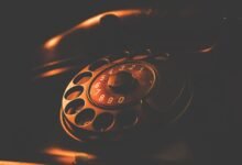 phone numbers search results details summarize