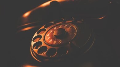 phone numbers search results details summarize