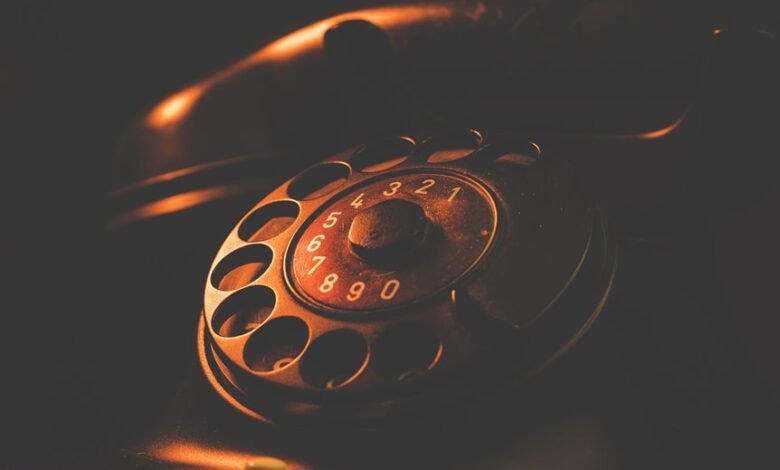 phone numbers search results details summarize