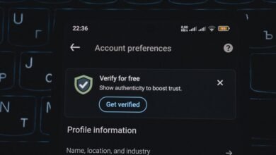phone verification numbers list