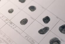registry lookup results identifiers