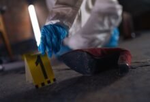 registry numbers browse evidence