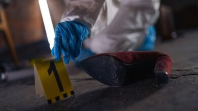 registry numbers browse evidence