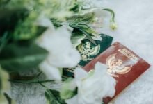 registry search profiles by specific ids
