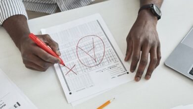 registry verification ids results summary