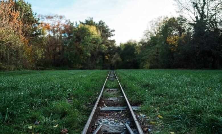 track registry lookup numbers listed