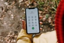 verified numbers review references